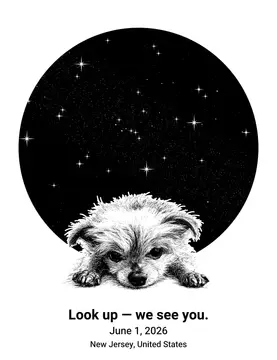 Community gallery artwork, Sky Memory (BETA) style, CO2 laser engraving file, — free download